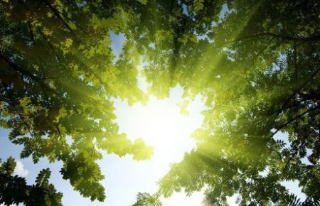 تاثیر نور خورشید بر سلامت روان